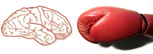 Опасен ли бокс для мозга??